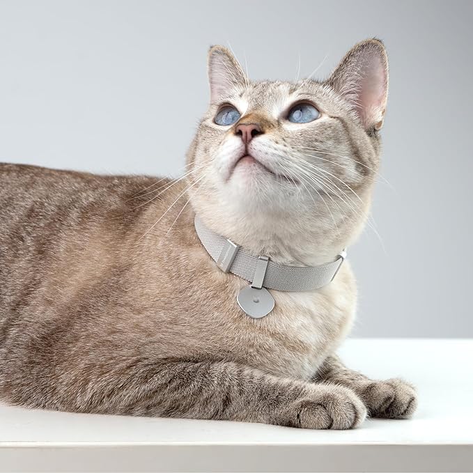 Safety Cat Collar Pro and Tag Set - U.S. IDA Gold Award, Elastic Release Cat Collar Charm Tag, Non Breakaway Cat Collar Adjustable with Charm for Kitten Small Large Cats (Monet Purple, S)