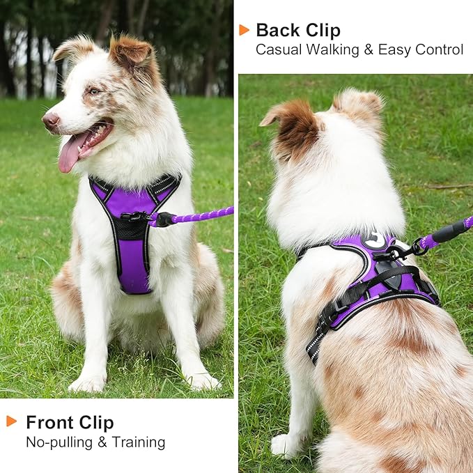 Taglory Light Up Dog Harness, Rechargeable No Pull Dog Vest with 3 Lightning Modes, Reflective Dog Harness with 2 Leash Clips & 4 Adjustable Slide Strips for Small Dogs, Purple-Orange, S