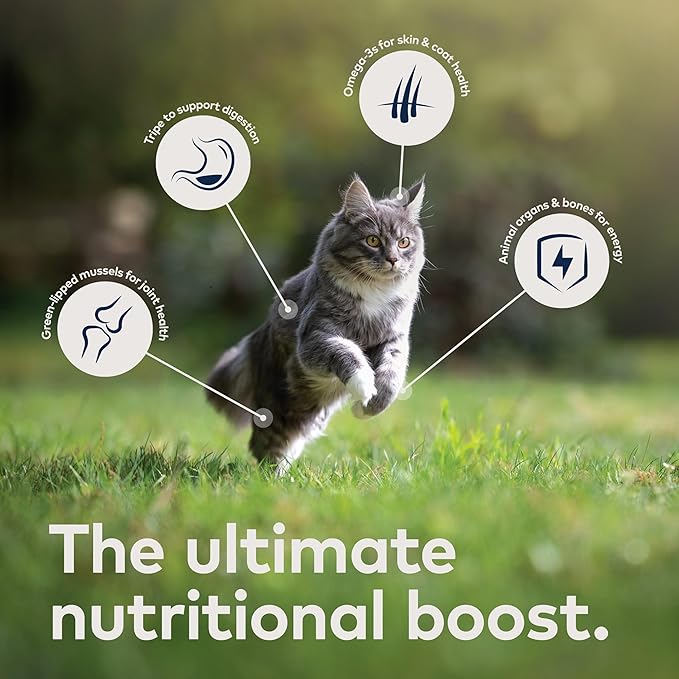 ZIWI Peak Air-Dried Cat Food – Beef - All Natural, High Protein, Grain Free, Limited Ingredient w/ Superfoods (14oz)