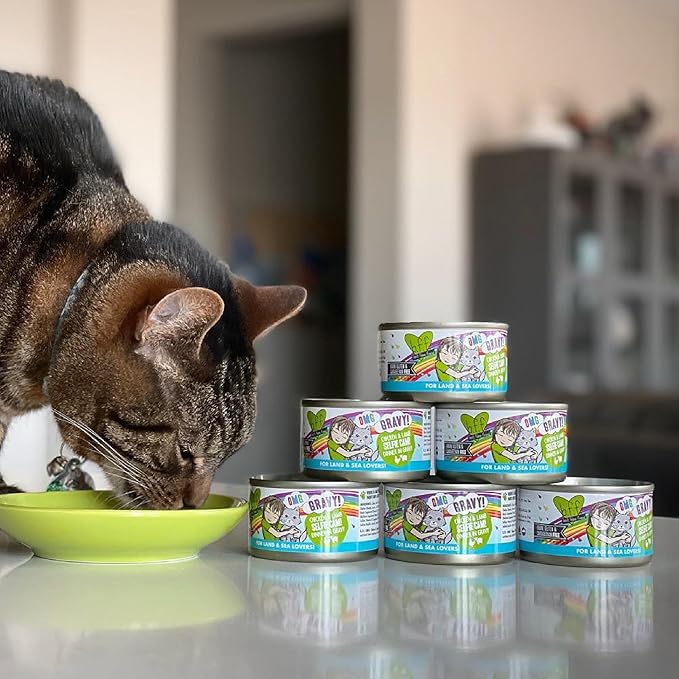Weruva B.F.F. OMG - Best Feline Friend Oh My Gravy!, Chicken & Beef Be Happy with Chicken & Beef in Gravy, 5.5oz Can (Pack of 8)