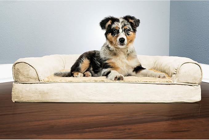 Furhaven Orthopedic Dog Bed for Medium/Small Dogs w/ Removable Bolsters & Washable Cover, For Dogs Up to 35 lbs - Plush & Suede Sofa - Espresso, Medium