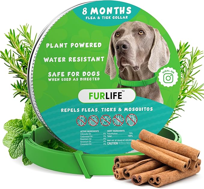 FurLife Flea and Tick Collar for Dogs – Waterproof Green Dog Collar, Pet Supplies for Tick and Flea Prevention for Dogs, Safe for All Breeds