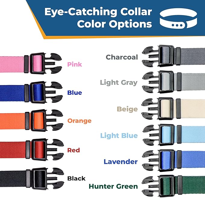 GoTags Personalized Dog Collar with Nameplate, Adjustable Dog Collar with Custom Engraved Slide On Pet ID Tag in Stainless Steel, Silent, No Noise Dog Tag (Light Blue, Small)