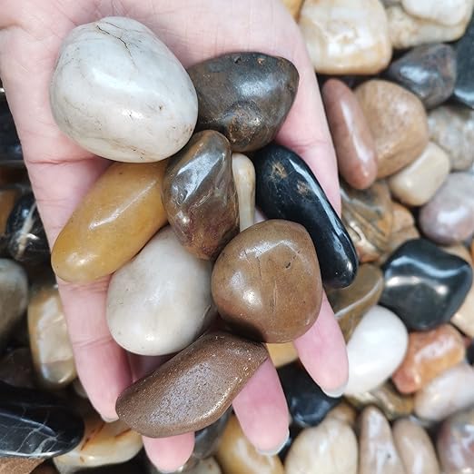 XXYXXY Natural River Rocks Decorative Rocks, Succulents, Highly Polished Decorative Pebbles in Shapes and Sizes from 1-3 inches. (18LB, 1)