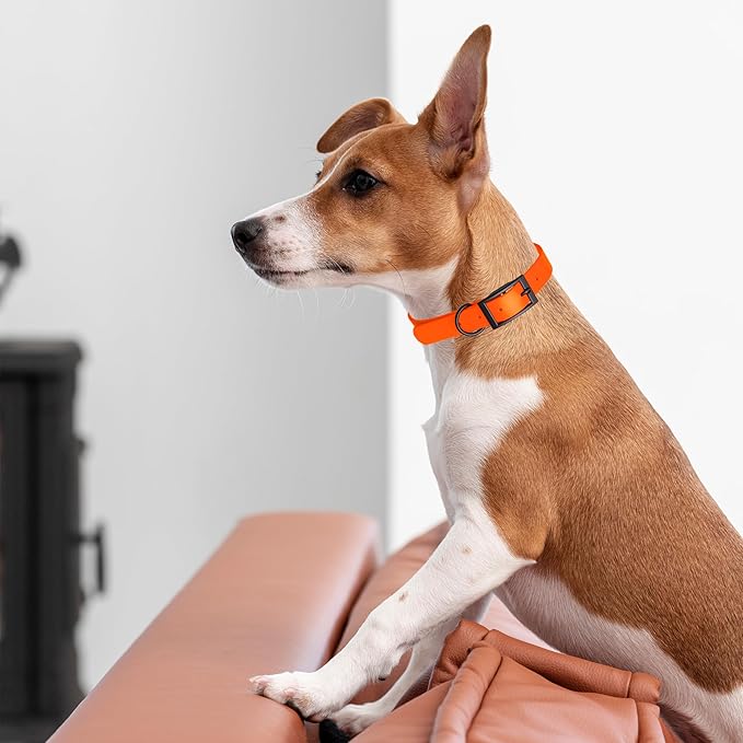 Dogline Biothane Waterproof Dog Collar Strong Coated Nylon Webbing with Black Hardware Odor- Proof for Easy Care Easy to Clean High Performance Fits Small Medium or Large Dogs, Hunter Orange