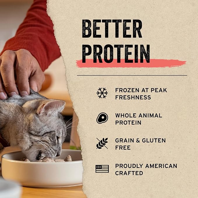 Vital Essentials Salmon Bites Cat Treats, 1.1 oz | Freeze-Dried Raw | Single Protein | Grain Free, Gluten Free, Filler Free