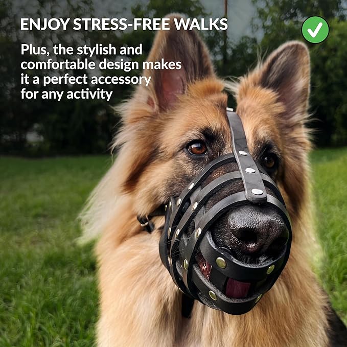 CollarDirect Dog Muzzle German Shepherd Dalmatian Doberman Setter Leather Basket Medium Large Breeds (Grey, Medium)