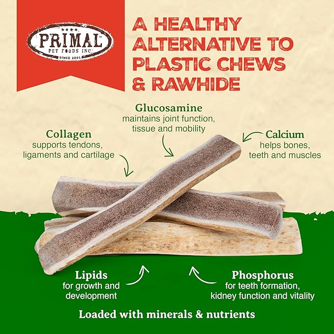 Primal Antlers for Dogs, Grade A Split Stag Antlers for Large Canines 30-45 lb, Natural Chews for Aggressive Chewers, Naturally Shed, Long Lasting Dog Bones, 1 ct