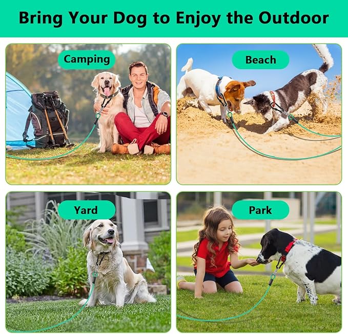 Dog Tie Out Cable 30FT-500Lbs,Heavy Duty Dog Leads Line for Yard with Swivel Hook,Medium Large Dogs Leash&Chains for Outside,Rust Chew Proof Dogs Run Cable for Outdoor Camping (Green Cyan, 30FT)