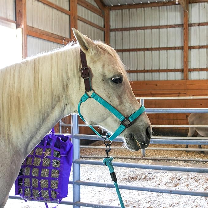 Majestic Ally Leather Halter with Matching Lead Rope for Horses – Leather Breakaway Crown - Adjustable Chin Strap – Rolled Throat Latch – Padded Noseband – Full (Royal Blue, Full)