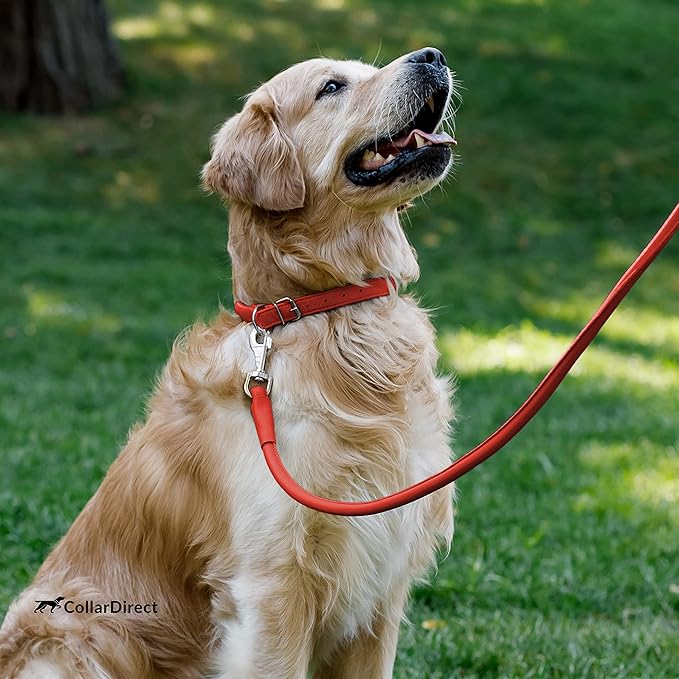 CollarDirect Rolled Leather Dog Collar, Soft Padded Round Puppy Collar, Handmade Genuine Leather Collar Dog Small Large Cat Collars 13 Colors (15-19 Inch, Red Textured)