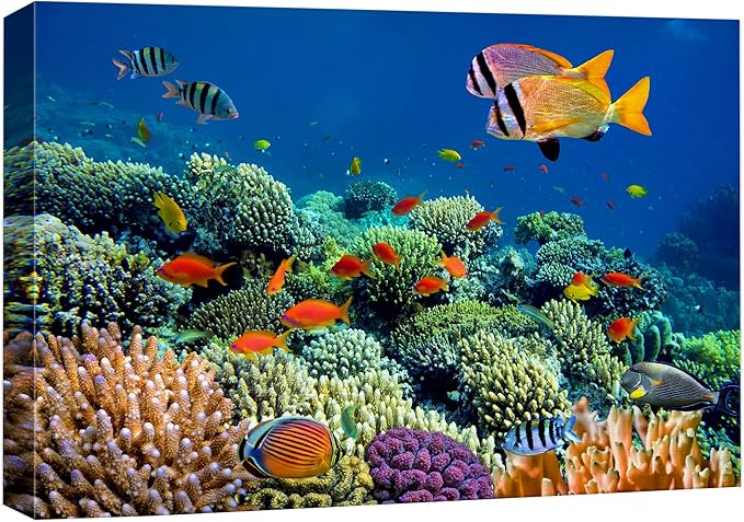 wall26 Canvas Print Wall Art Vibrant Coral Reef Underwater Panorama Nature Animals Photography Realism Rustic Scenic Landscape Wilderness Earth Colorful for Living Room, Bedroom, Office - 12"x18"