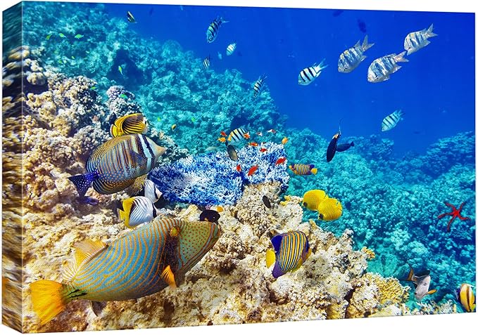 wall26 Canvas Print Wall Art Underwater Neon Blue Teal Ocean Water Fish Nature Animals Photography Realism Rustic Scenic Landscape Wilderness Earth for Living Room, Bedroom, Office - 16"x24"