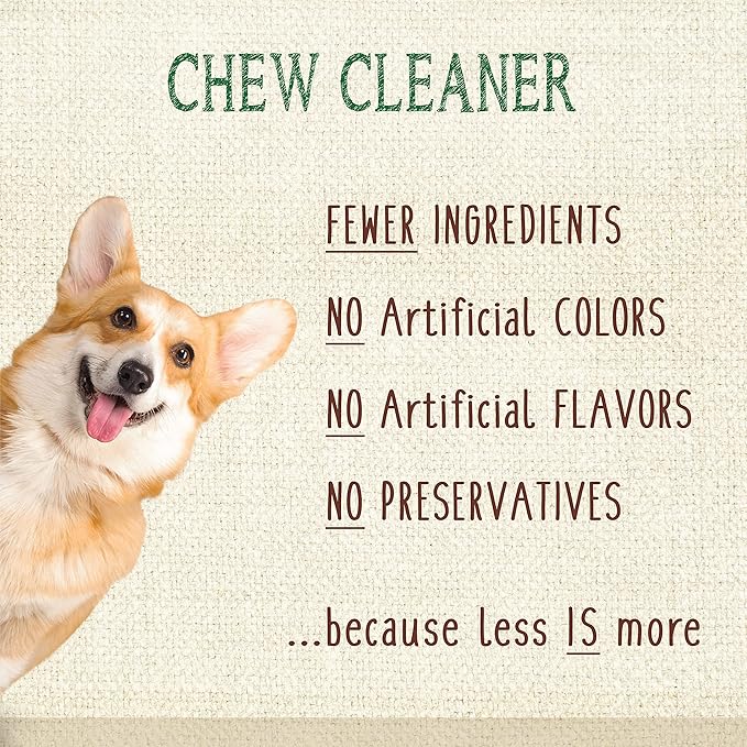 Nylabone Nutri Dent Dog Dental Chews - Natural Dog Teeth Cleaning & Breath Freshener - Dental Treats for Dogs - Fresh Breath Flavor, Mini (32 Count)
