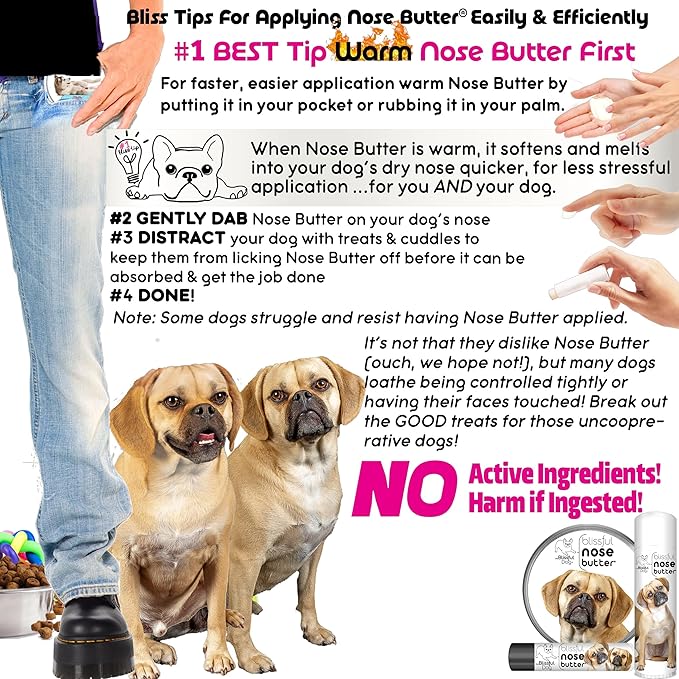 The Blissful Dog Puggle Nose Butter for Dry, Cracked Skin, Lick-Safe Dog Nose Balm with Moisturizing Shea Butter, Almond, Olive, and Essential Oils, Pet Supplies, Uncented, 1 oz.