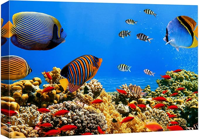 wall26 Canvas Print Wall Art Tropical Island Underwater Fish Red Anemone Nature Animals Photography Realism Rustic Scenic Landscape Wilderness Colorful for Living Room, Bedroom, Office - 12"x18"