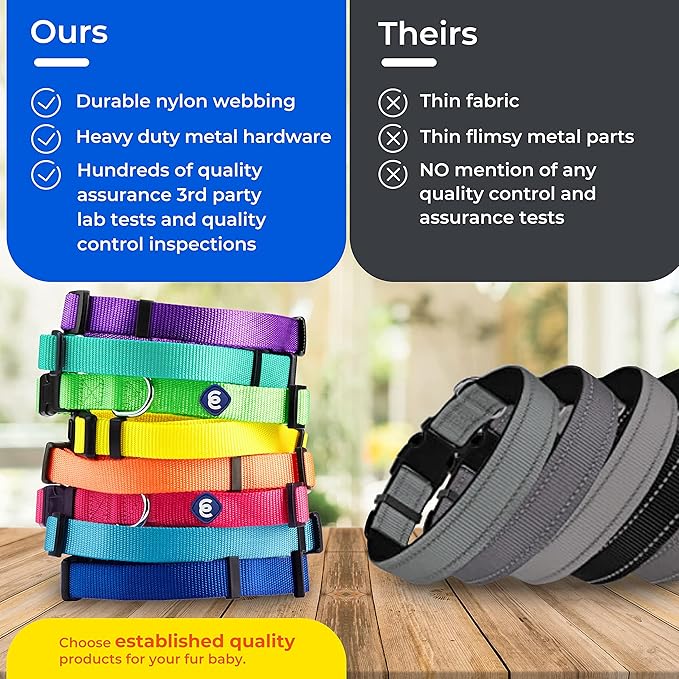 Blueberry Pet Essentials Small Dog Collar in Black | Adjustable & Eco-Friendly Durable Nylon Strap | Classic Collar for Small Dogs, Boy & Girl Pets