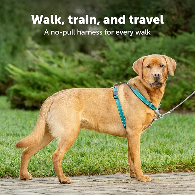 PetSafe 3 in 1 Dog Harness - No Pull Solution for Dogs - Reflective Dog Harness - Front D-Ring Clip Helps Stop Pulling - Comfortable Padded Straps - Top Handle Enhances Control - Plum - Small