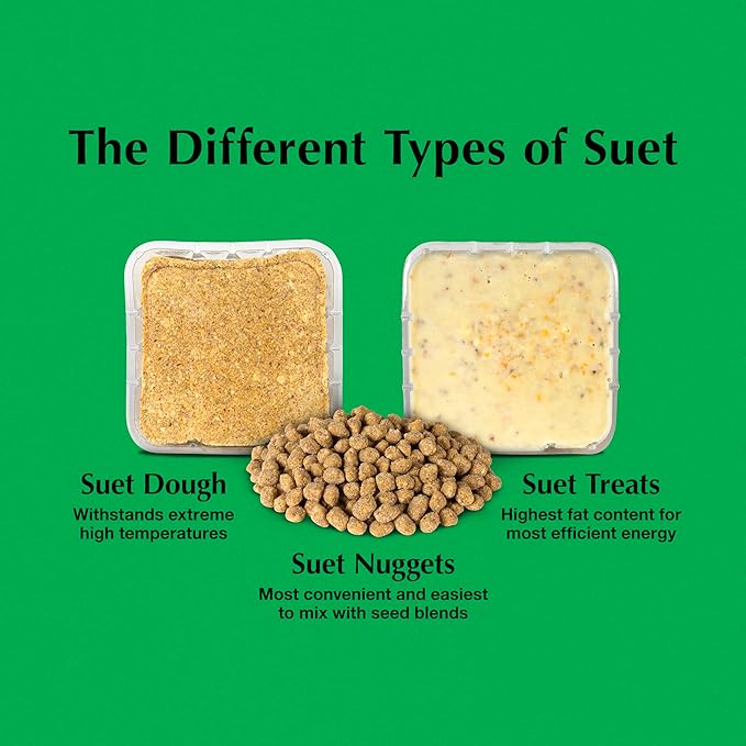 C&S Sunflower Suet Nuggets, Suet Nuggets for Wild Birds, 8 Lbs