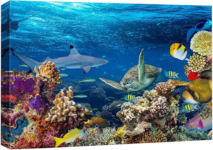 wall26 Canvas Print Wall Art Tropical Island Underwater Turtle Shark Nature Animals Photography Realism Rustic Scenic Landscape Wilderness Earth Colorful for Living Room, Bedroom, Office - 32"x48"
