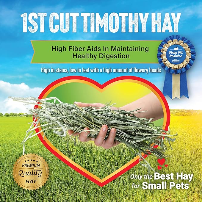 Small Pet Select 1st Cut Timothy Hay Pet Food for Rabbits, Guinea Pigs, and Other Small Animals, Easy to Store Box, 10 LB