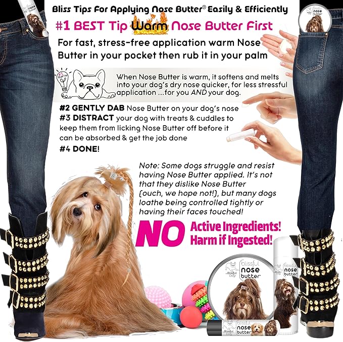 The Blissful Dog Havanese Nose Butter for Dry, Cracked Skin, Lick-Safe Dog Nose Balm with Moisturizing Shea Butter, Almond, Olive, and Essential Oils, Pet Supplies, Uncented, 0.50 oz.