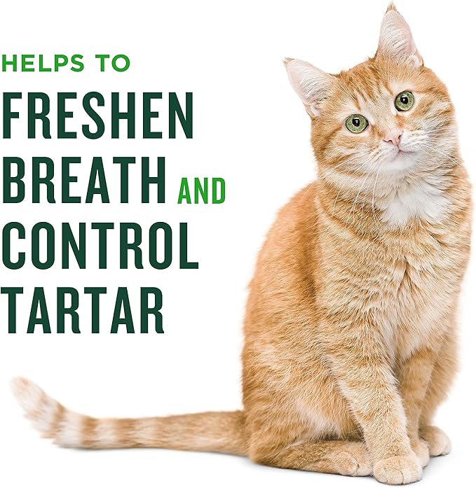 Minties Dental Treats for Cats, Salmon Flavored Treats for Cats, Freshens Breath and Controls Tartar, 30oz (12 2.5oz Bags)