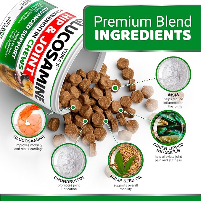 YUMA'S Glucosamine for Dogs - Hip and Joint Supplement for Dogs - 170 Ct - Glucosamine Chondroitin Chews - Joint Pain Relief Supplement with MSM - Advanced Health - Mobility Support - Made in USA