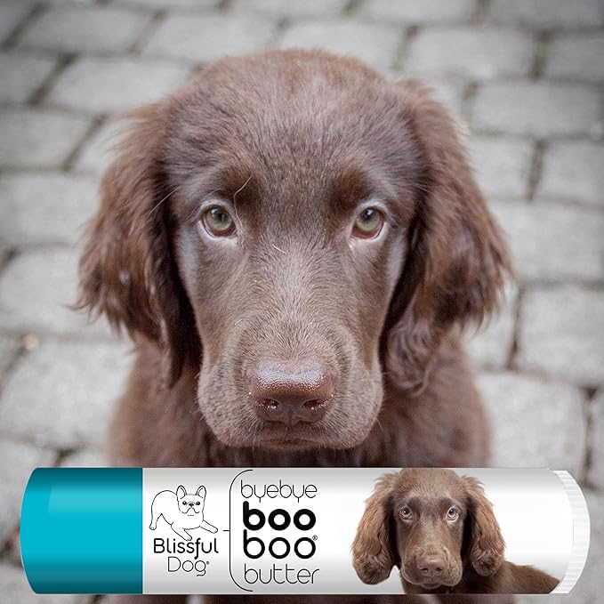 The Blissful Dog Flat-Coat Retriever Boo Boo Butter, 0.15-Ounce