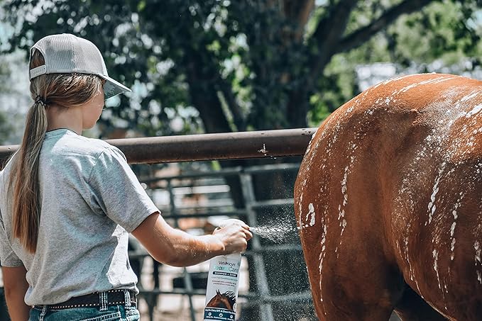 Vetericyn FoamCare Horse Shampoo - Equine Instant Foam Sprayable Shampoo with Aloe to Promote Healthy Skin and Coat, Paraben Free, Cleans, Moisturizes, and Conditions Horse's Coat. 32 fl. oz.