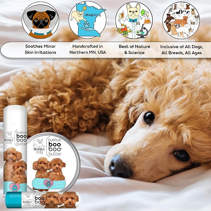 The Blissful Dog .15 oz Tube Poodle Booboo Butter