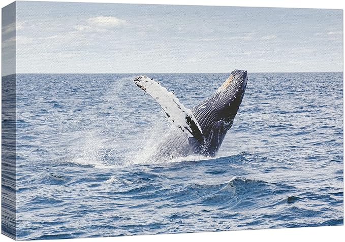 wall26 Canvas Print Wall Art Tropical Ocean Sea Water Horizon Blue Whale Nature Animals Photography Realism Rustic Scenic Landscape Wilderness Colorful for Living Room, Bedroom, Office - 12"x18"