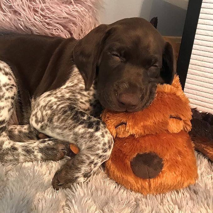 Original Snuggle Puppy Toys - Heartbeat Puppy for Dogs - Pet Anxiety Relief and Calming Aid - Comfort Dog Toys for Behavioral Training