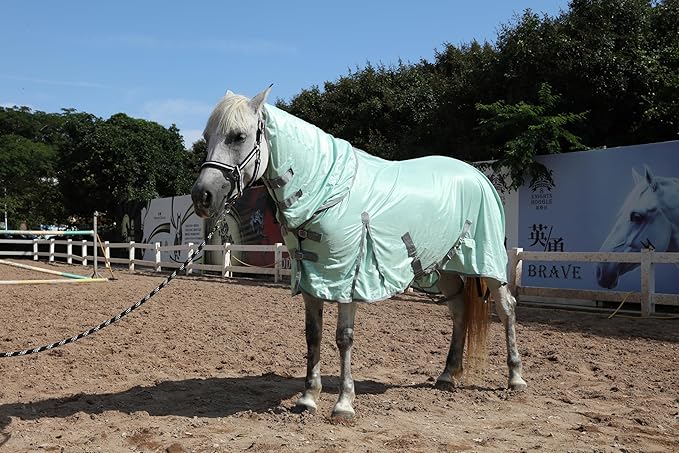 Horse Fly Sheet with Detachable Neck Cover & Belly Wrap, Adjustable Fly Sheet for Horses, Ventilated Airflow Mesh Equine Cooling Summer Flysheet Green 84