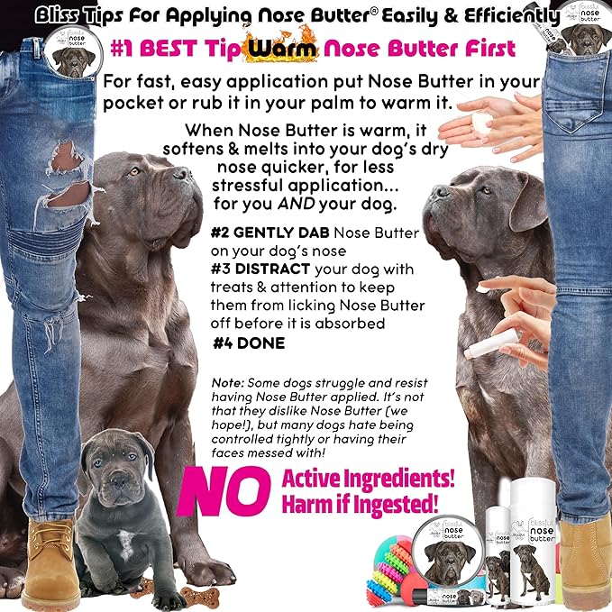 The Blissful Dog Cane Corso Nose Butter for Dry, Cracked Skin, Lick-Safe Dog Nose Balm with Moisturizing Shea Butter, Almond, Olive, and Essential Oils, Pet Supplies, Uncented, 2 oz.