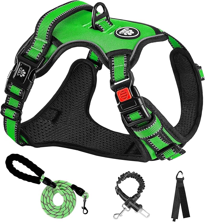 NESTROAD No Pull Dog Harness,Adjustable Oxford Dog Vest Harness with Leash,Reflective No-Choke Pet Harness with Easy Control Soft Handle for Large Dogs(X-Large,FluorescentGreen)
