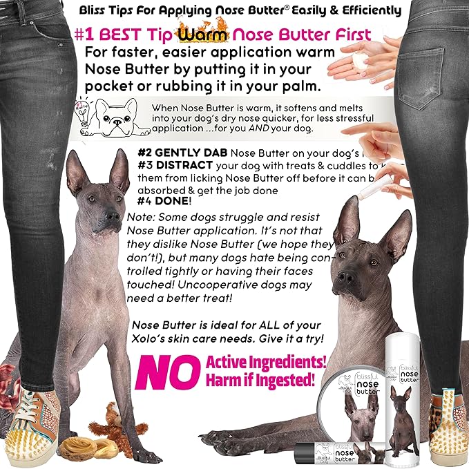 The Blissful Dog Xoloitzcuintli Nose Butter, Versatile Dog Nose Balm for Dry Nose, Handcrafted Nose Moisturizer, Easy-to-Apply Dog Essentials, Unscented, 0.15 oz.