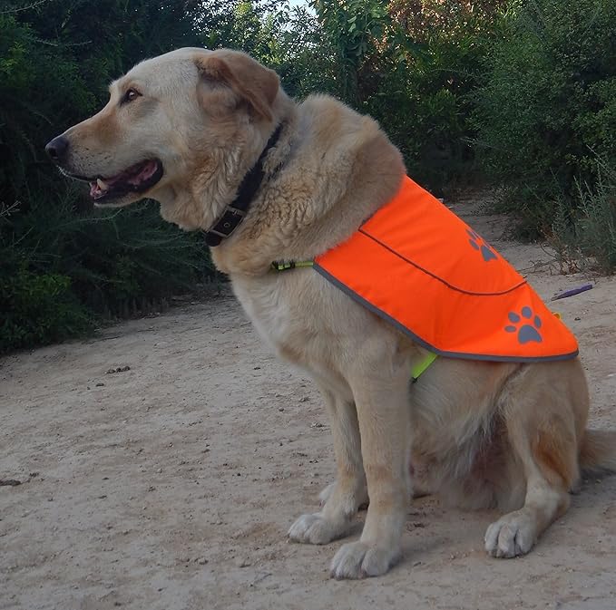 Dog Reflective Vest - Comfortable Jacket Safety Hunting, High Visibility for Dogs with Elastic Straps and Clasp Closure- Orange, XX-Large