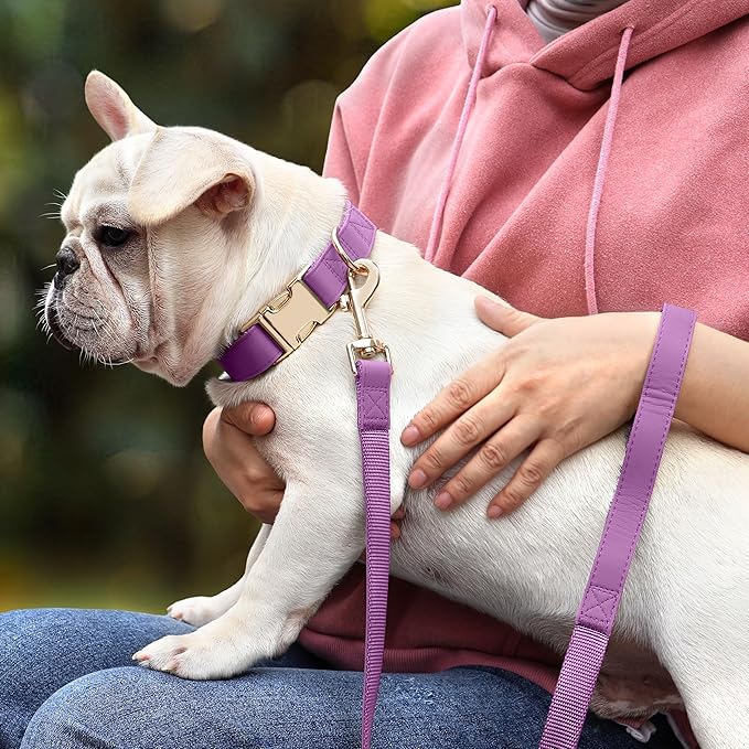 PET ARTIST PU Leather Dog Collar, Bright & Stylish Purple Dog Collar Girl with Quick Release Gold Metal Buckle, Soft Nylon Padded Durable Pet Collars Adjustable for Medium Dogs, Neck Fit 13-19"